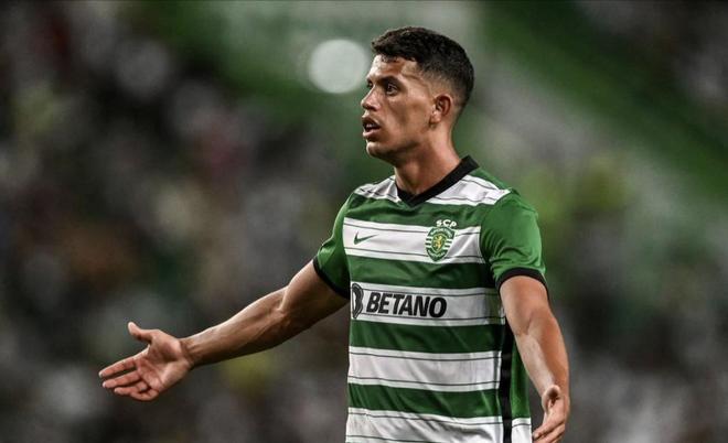 到了情绪性 到了情绪性