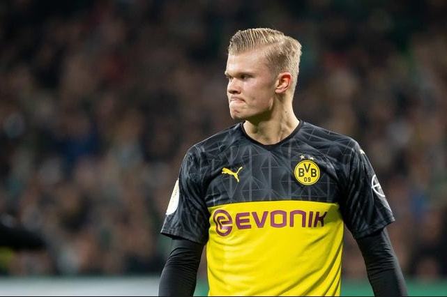 凭借着丰富 凭借着丰富