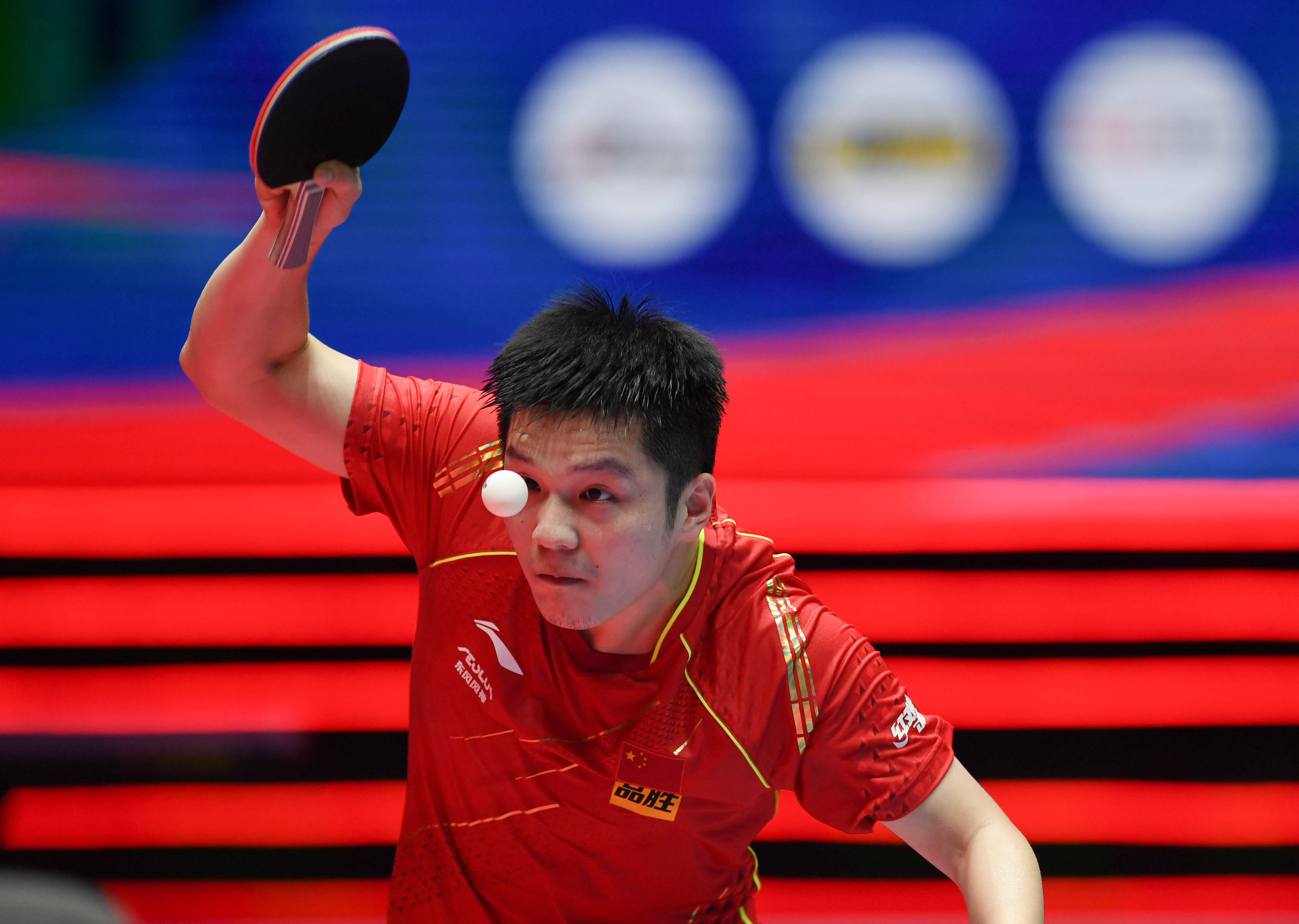 他们现阶段 他们现阶段