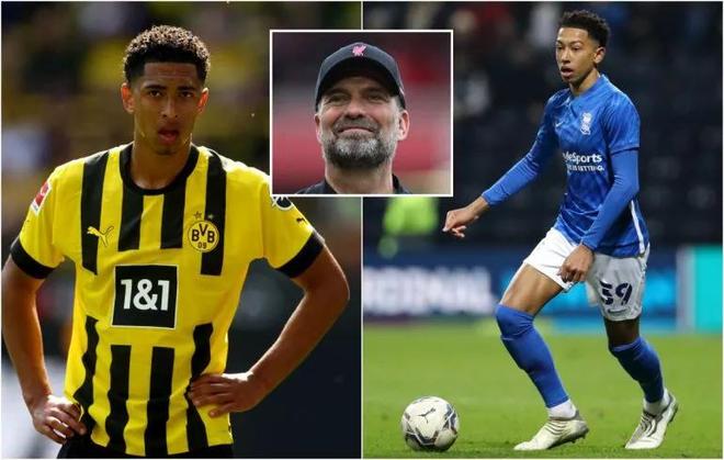 在聚光灯下 在聚光灯下